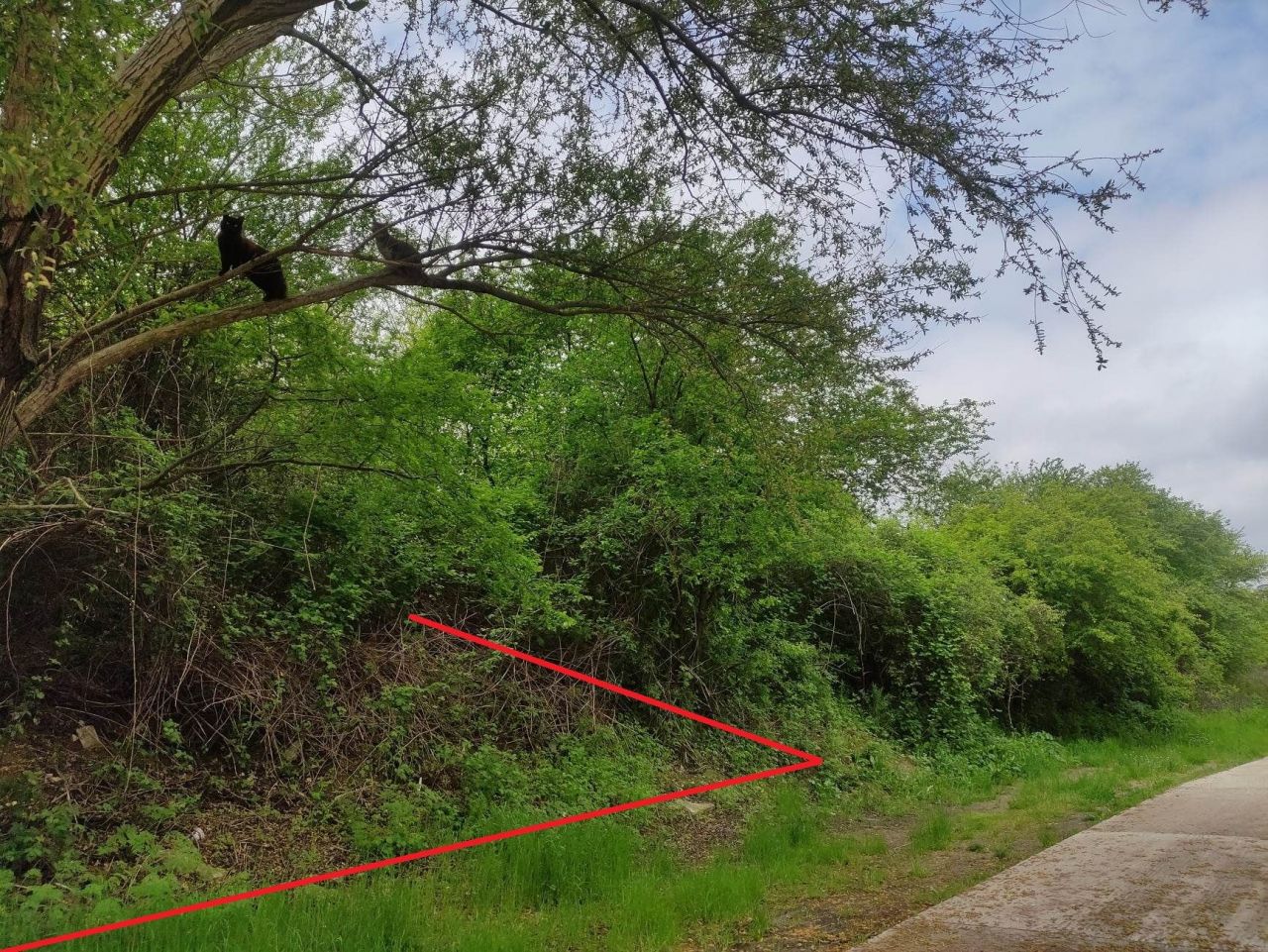 Grundstück in Byala, Bulgarien, 767 m² - Foto 3