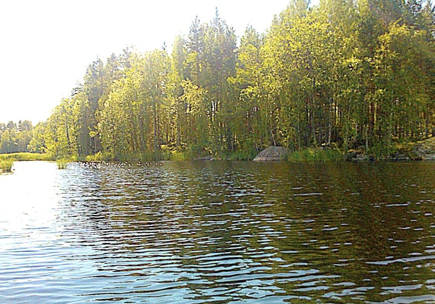 Grundstück in Puumala, Finnland, 70 000 m² - Foto 3