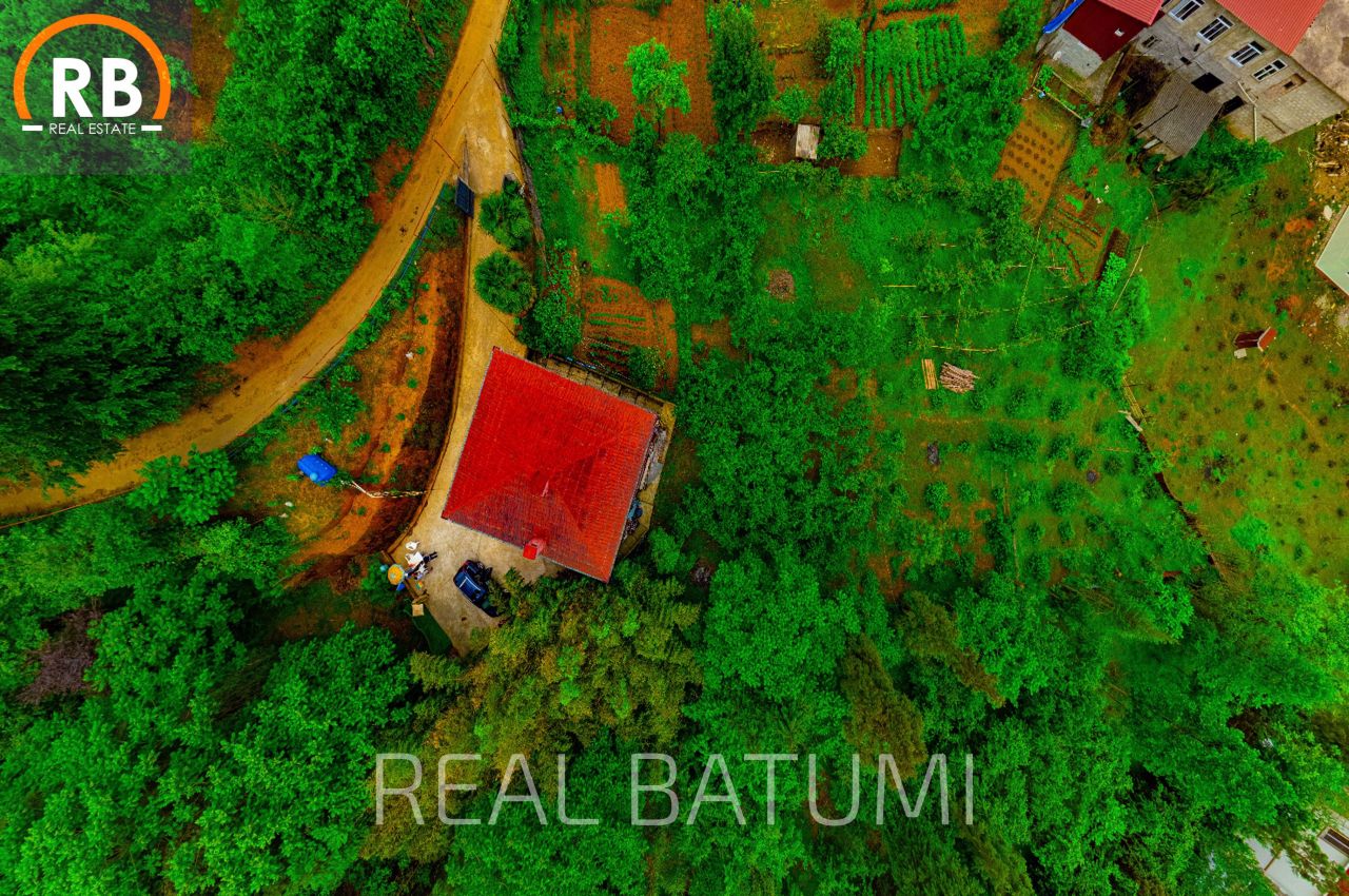 Land in Batumi, Georgia, 2 500 m² - picture 5