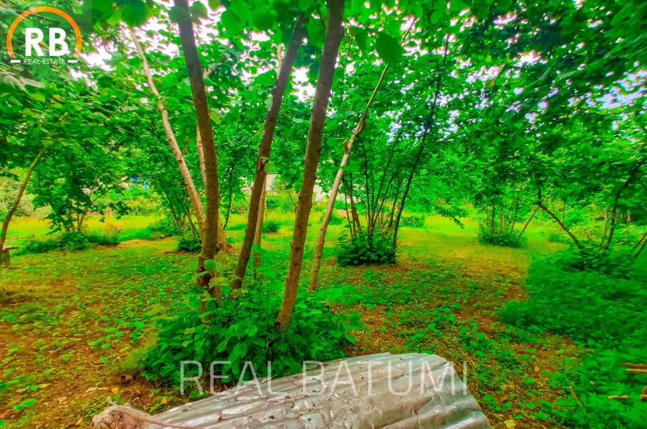 Land in Batumi, Georgia, 2 500 m² - picture 3