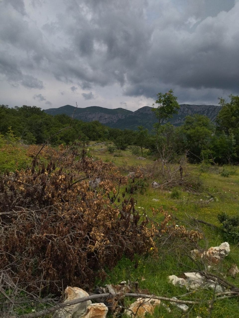 Terreno a Podgorica, Montenegro, 40 000 m2 - foto 3