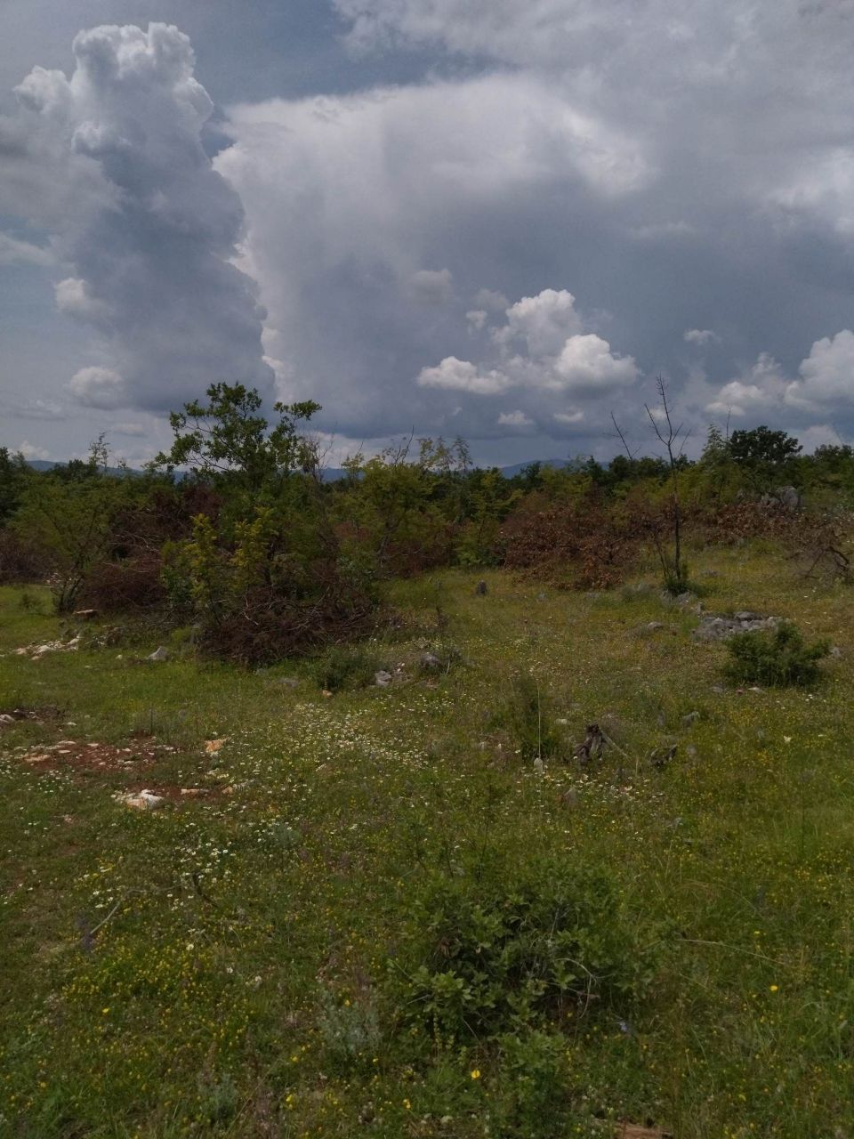 Terrain à Podgorica, Monténégro, 40 000 m² - image 1