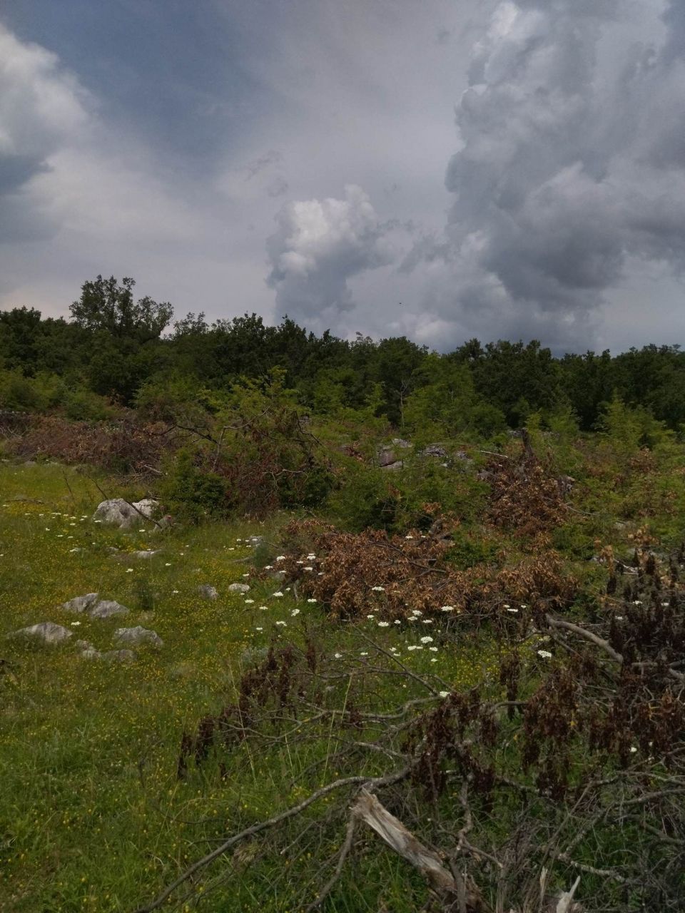 Terreno a Podgorica, Montenegro, 40 000 m2 - foto 6