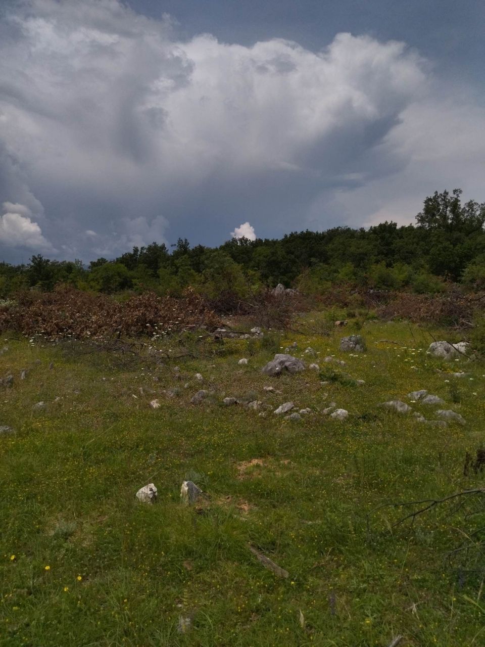 Terreno a Podgorica, Montenegro, 40 000 m2 - foto 2