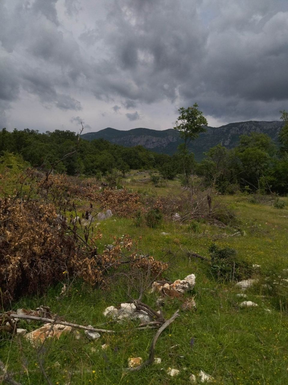 Terreno a Podgorica, Montenegro, 40 000 m2 - foto 4