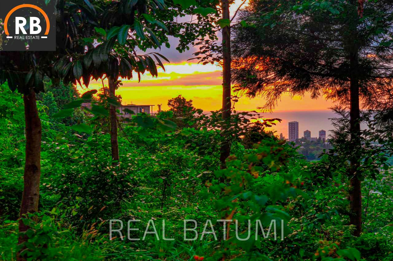 Terrain à Batoumi, Géorgie, 1 818 m² - image 2