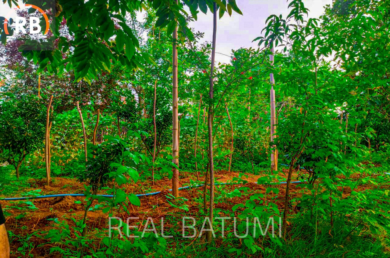 Terrain à Batoumi, Géorgie, 1 818 m² - image 5