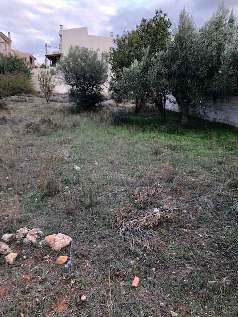 Grundstück in Lagonisi, Griechenland, 800 m² - Foto 1