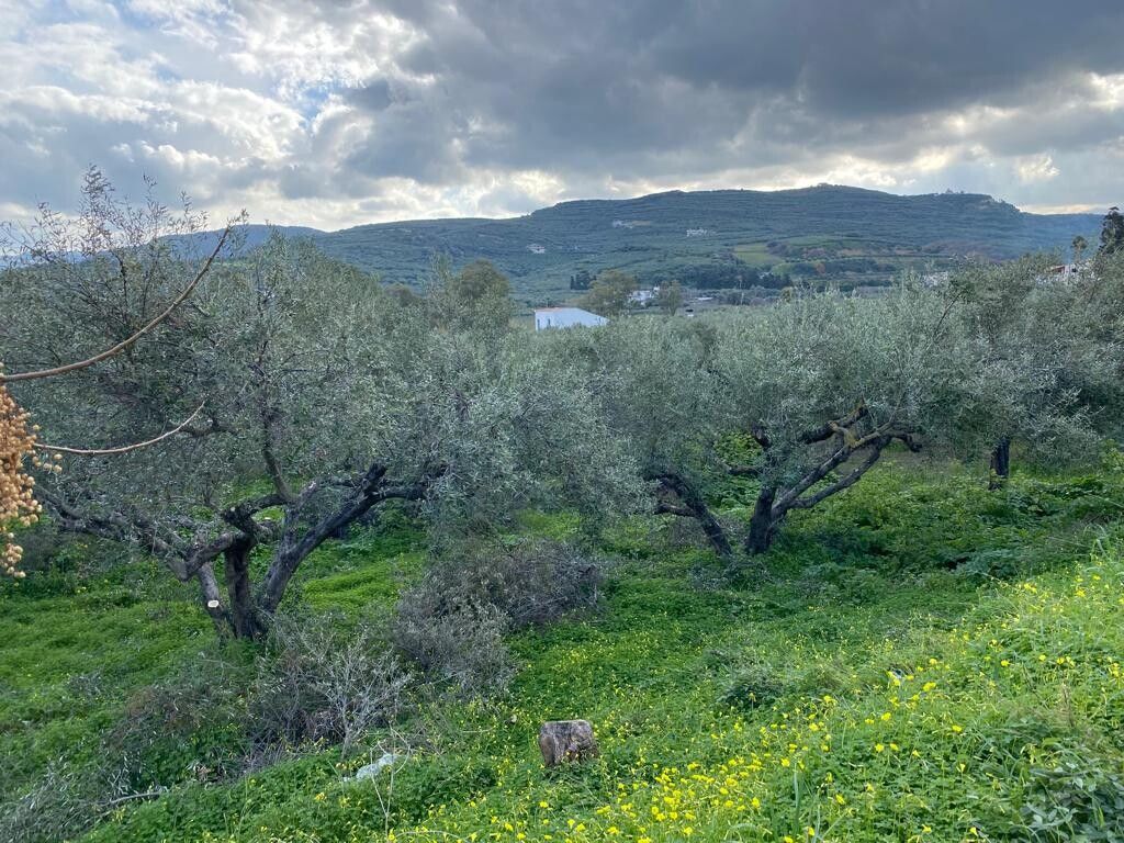 Terreno en Prefectura de Chania, Grecia, 1 600 m² - imagen 1