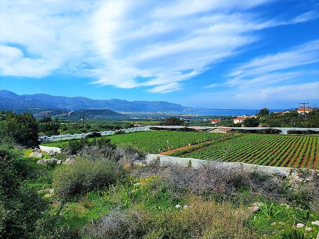 Terreno en Sissi, Grecia, 10 000 m² - imagen 1