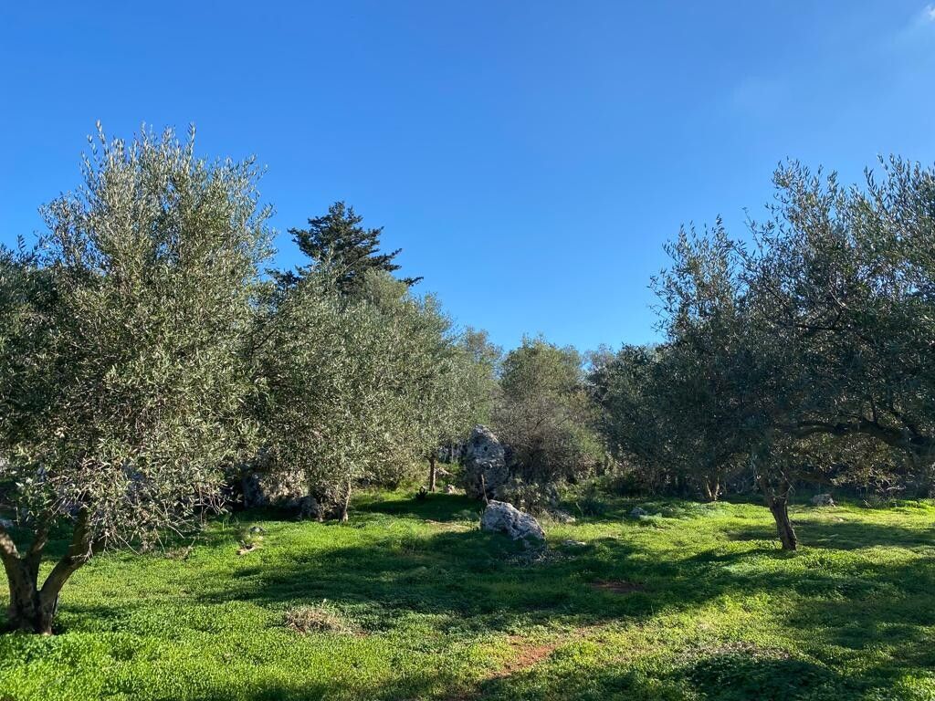 Terreno en La Canea, Grecia, 20 000 m² - imagen 1