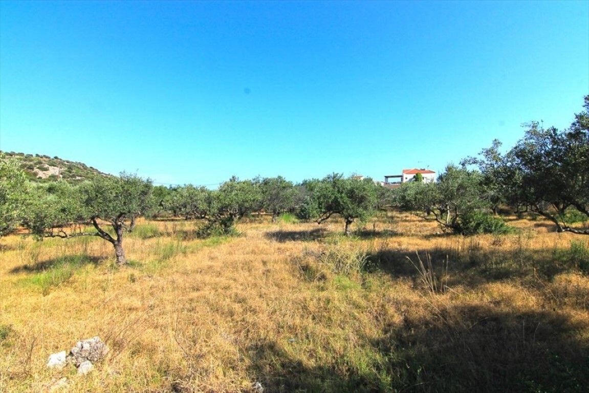 Terreno en Lasithi, Grecia, 5 500 m² - imagen 1