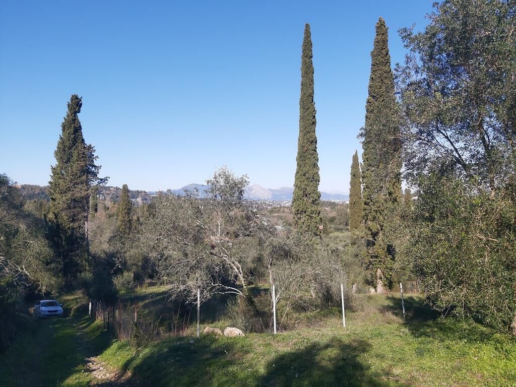 Land in Corfu, Greece, 7 000 m² - picture 1