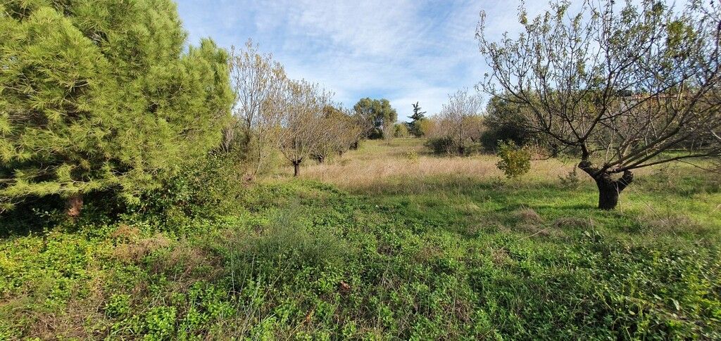 Terreno en Sani, Grecia, 2 000 m² - imagen 1