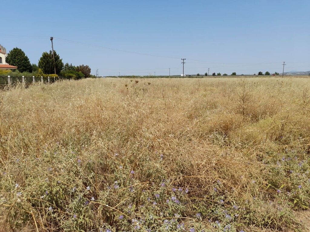 Grundstück in Sani, Griechenland, 10 000 m² - Foto 1