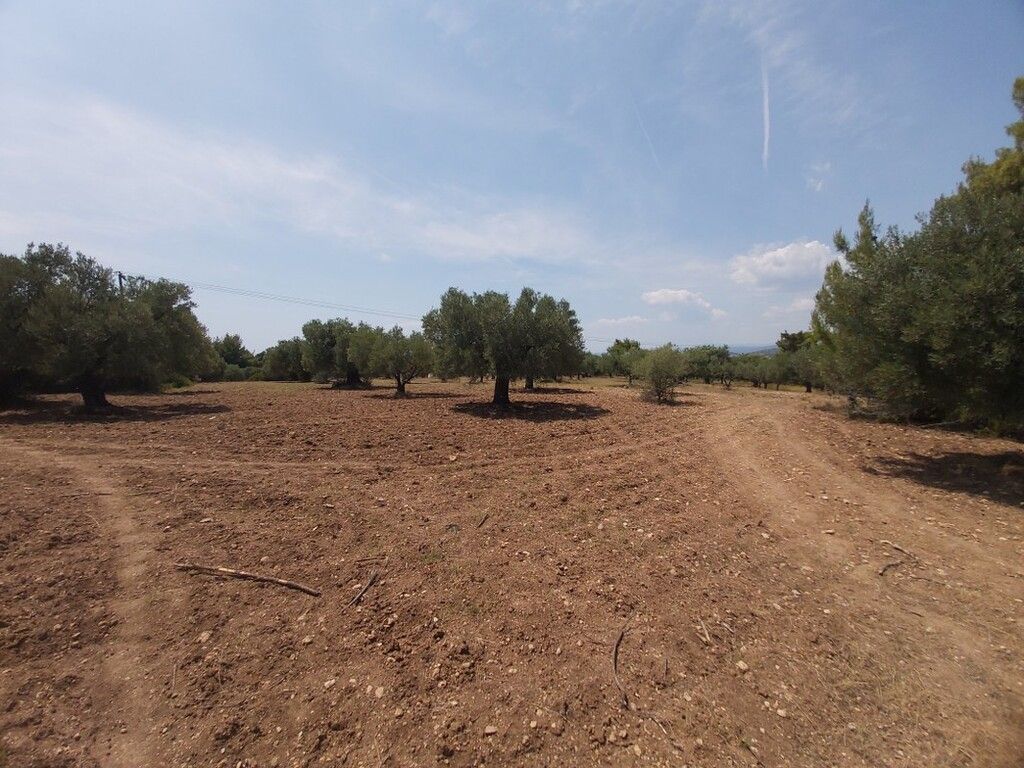 Terrain en Chalcidique, Grèce, 8 000 m² - image 1