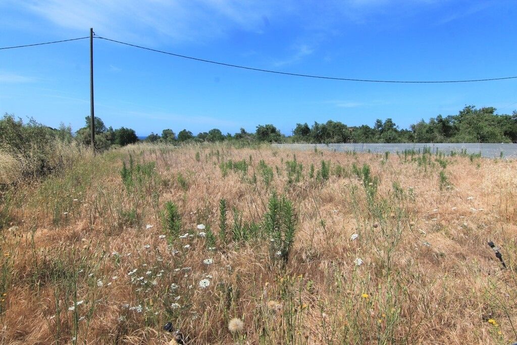 Land in Corfu, Greece, 10 000 m² - picture 1