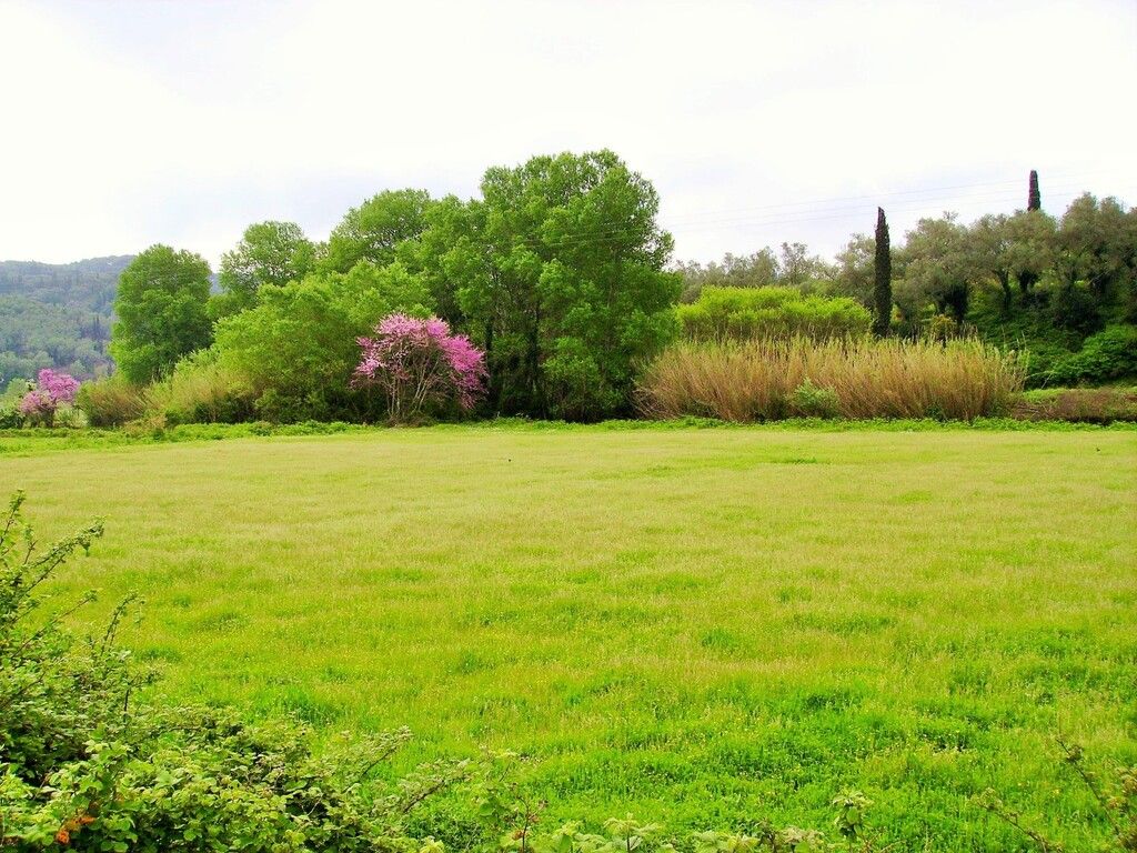 Terreno en Corfú, Grecia, 10 195 m² - imagen 1