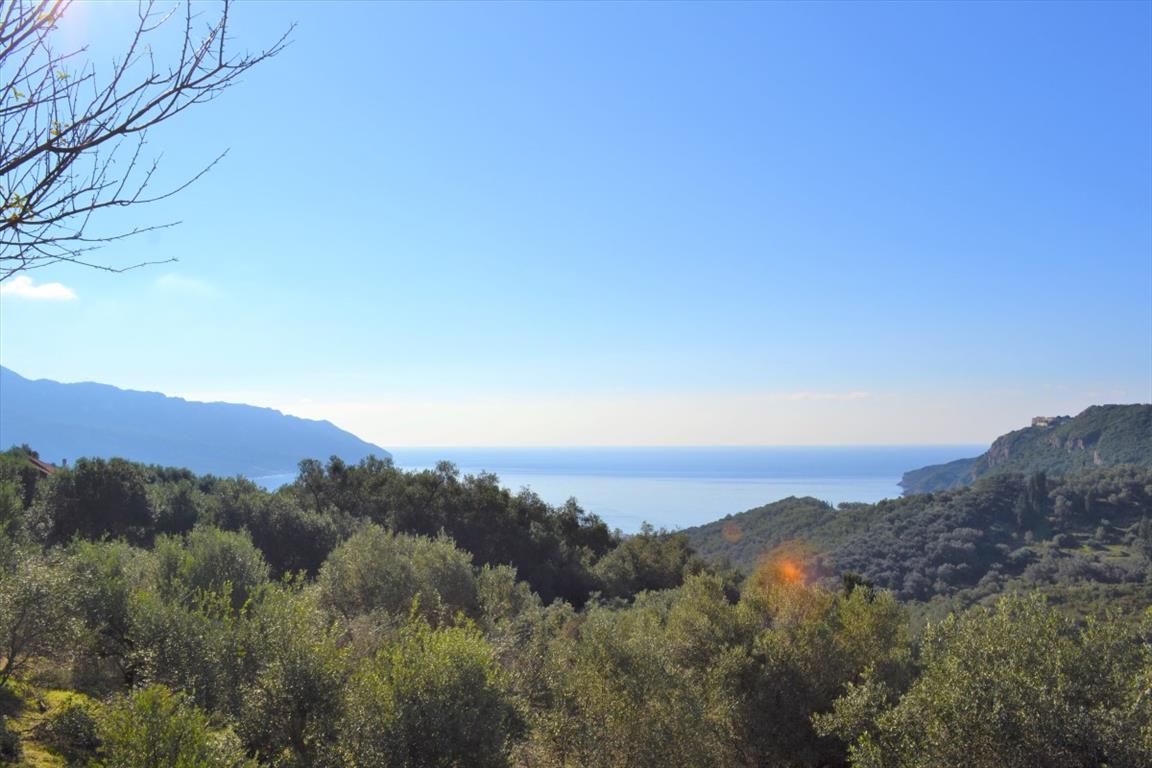 Land in Corfu, Greece, 8 841 m² - picture 1