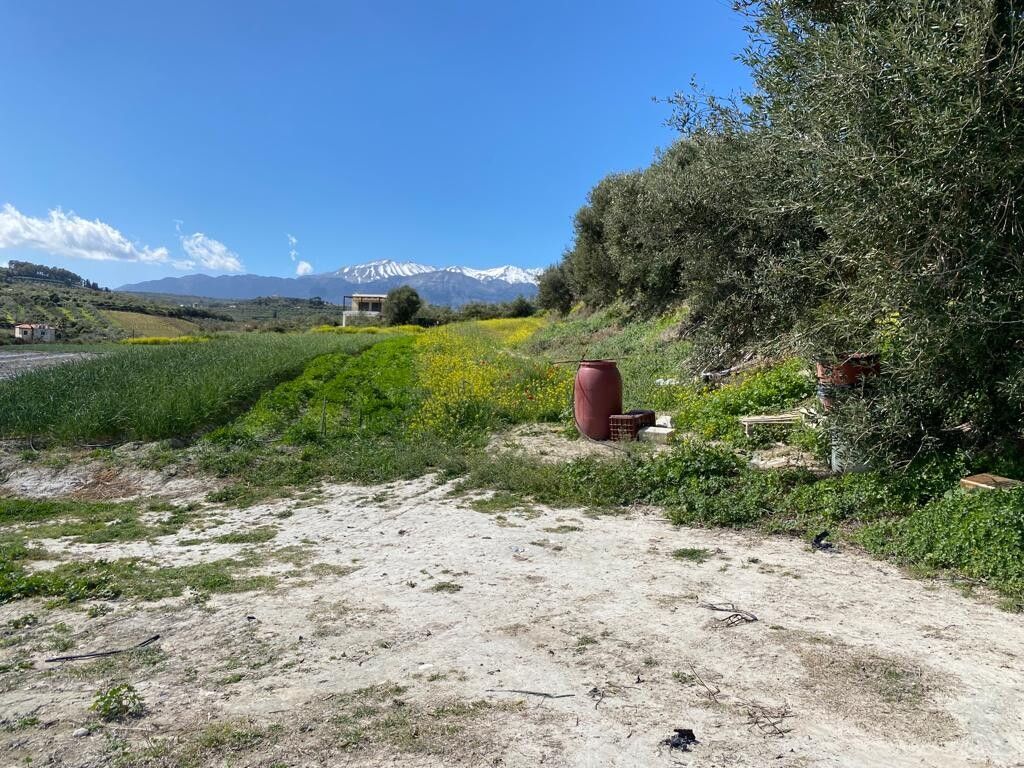 Land in Chania, Greece, 2 802 m² - picture 1