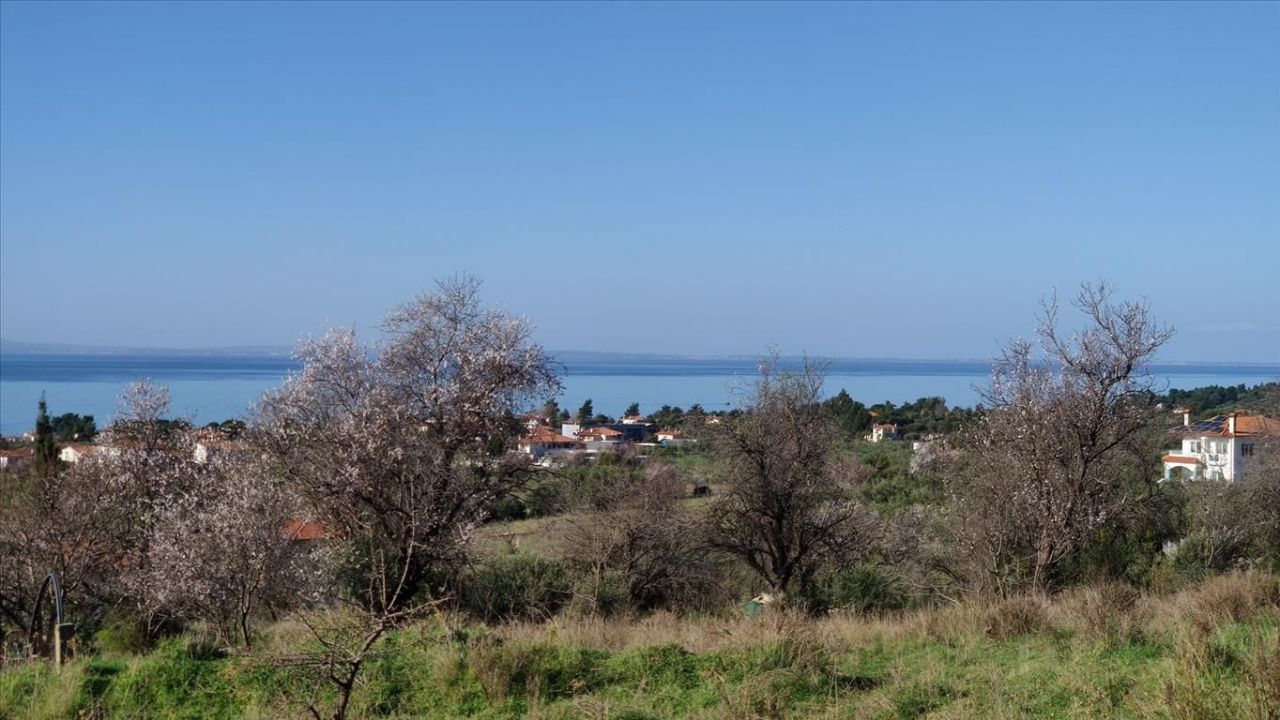 Land in Chalkidiki, Greece, 1 000 m² - picture 1