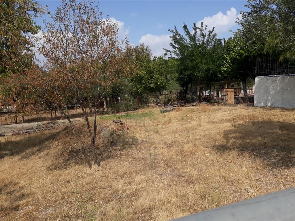 Land in Attica, Greece, 374 m² - picture 1