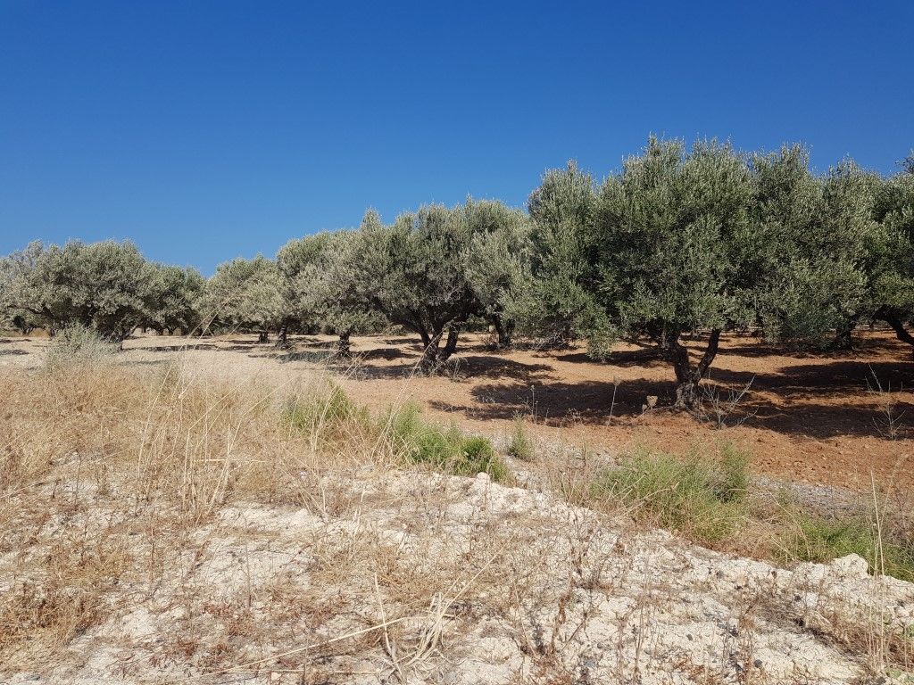 Terrain dans le Analipsi, Grèce, 10 000 m² - image 1