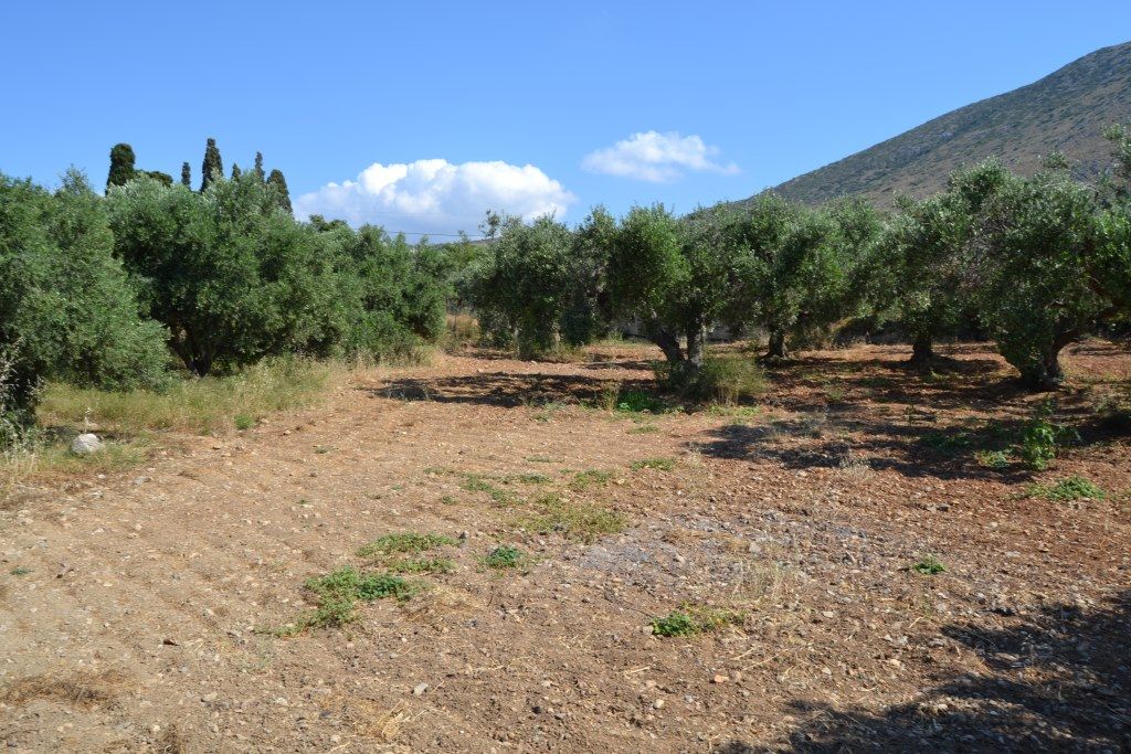 Terrain à Hersonissos, Grèce, 3 500 m² - image 1