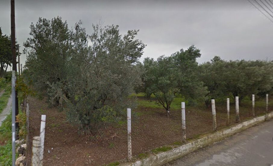 Land in Sani, Greece, 21 350 m² - picture 1
