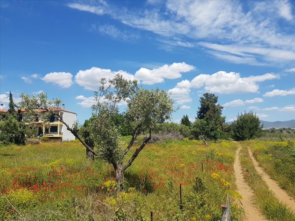 Terreno en Calcídica, Grecia, 449 m² - imagen 1