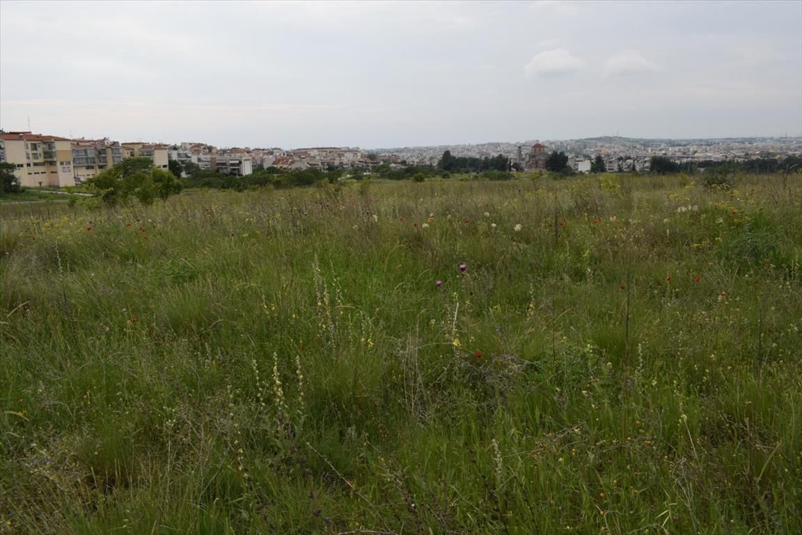 Terrain à Thessalonique, Grèce, 4 960 m² - image 1