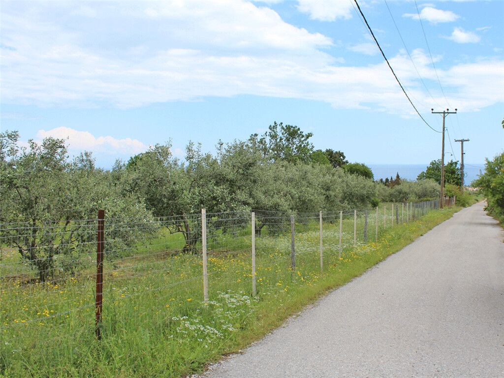 Terrain à Piérie, Grèce, 6 599 m² - image 1