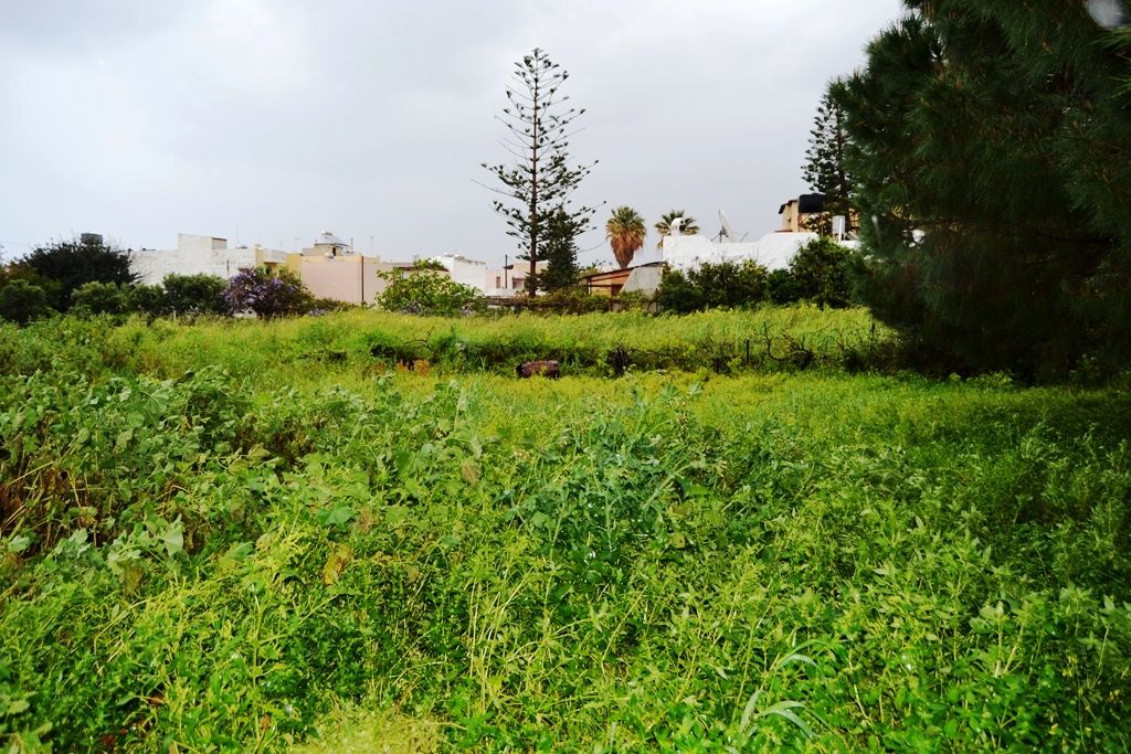 Terrain à Malia, Grèce, 1 450 m² - image 1