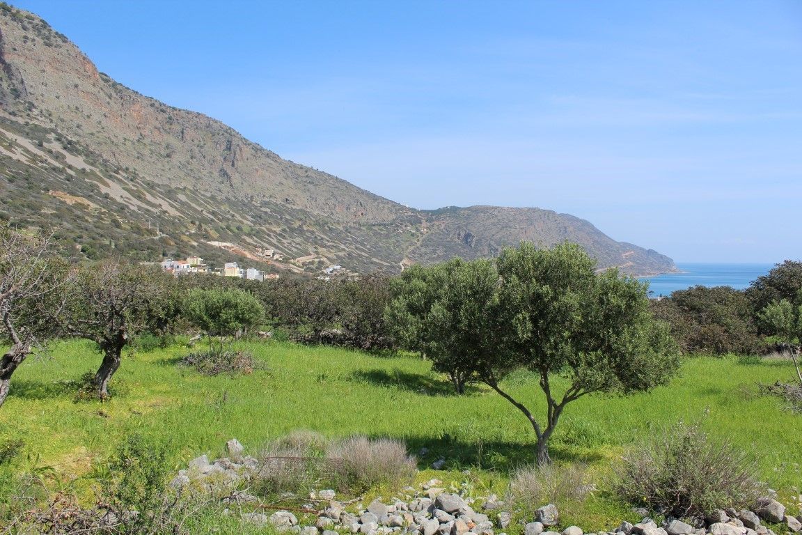 Land in Lasithi, Greece, 5 889 m² - picture 1