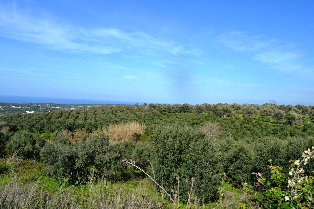 Terrain dans la préfecture de Réthymnon, Grèce, 5 500 m² - image 1