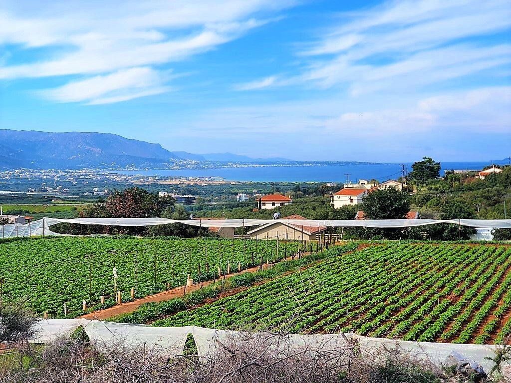 Terrain à Héraklion, Grèce, 10 000 m² - image 2