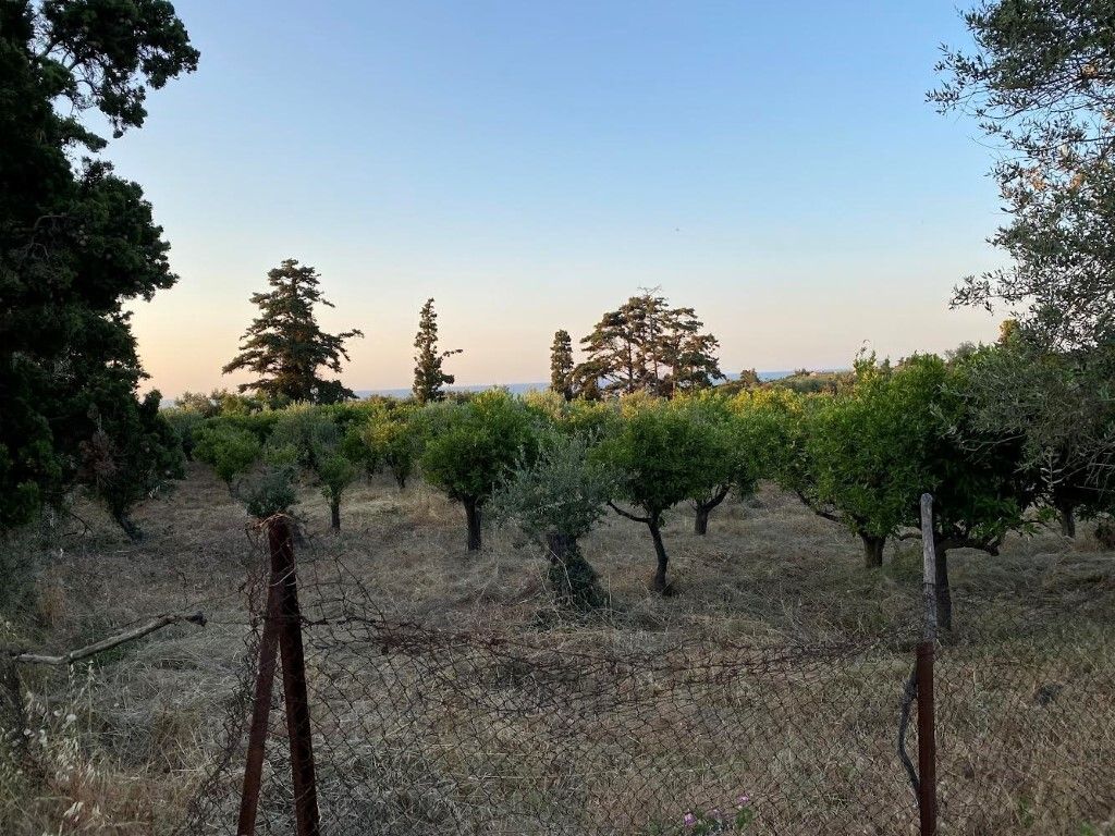 Land in Heraklion, Greece, 5 700 m² - picture 2