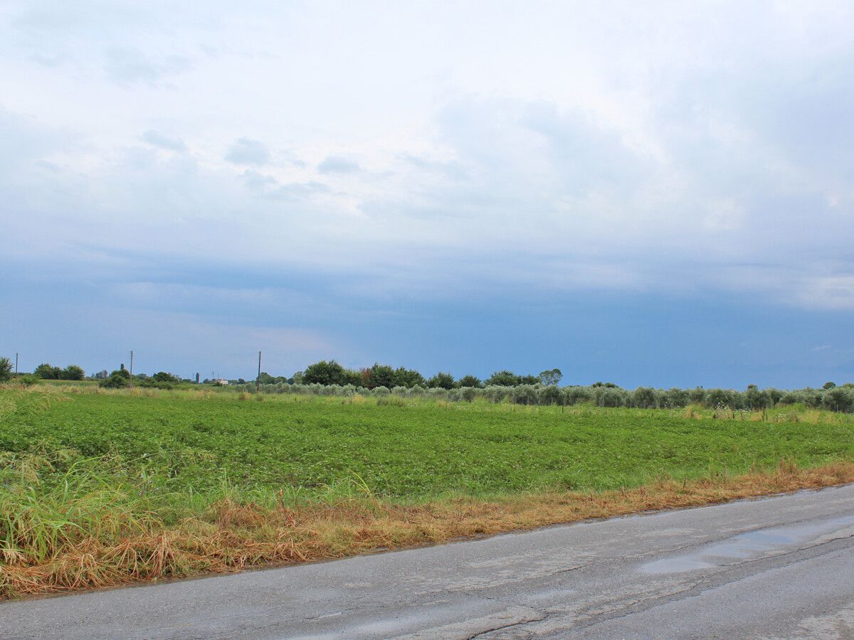 Terreno en Olympiaki Akti, Grecia, 6 250 m² - imagen 2