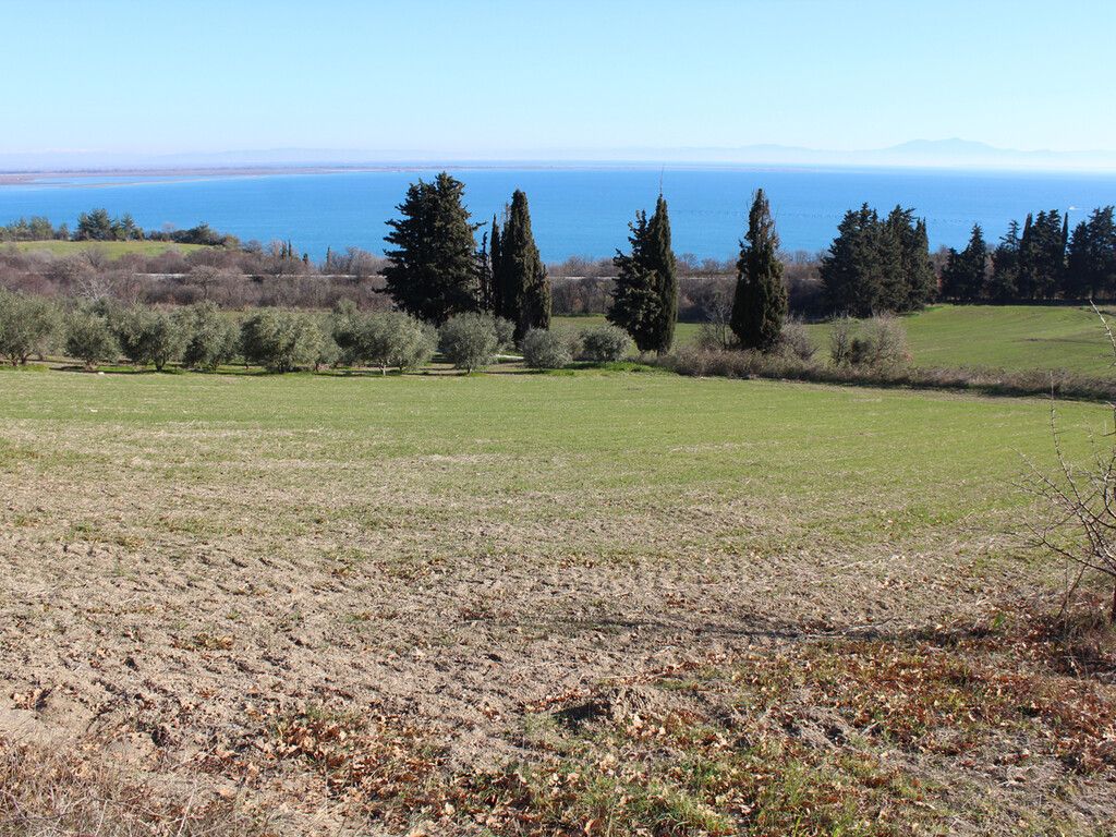 Land in Olympiaki Akti, Greece, 1 300 m² - picture 2