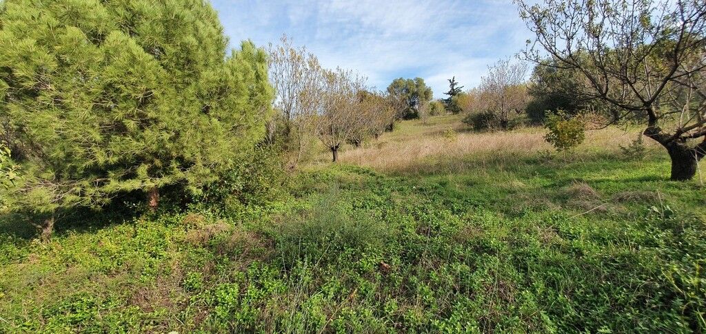 Land in Chalkidiki, Greece, 2 000 m² - picture 2