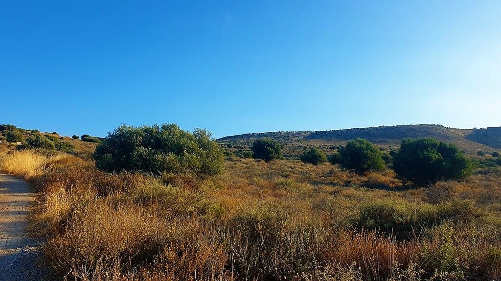 Land in Heraklion, Greece, 58 000 m² - picture 2