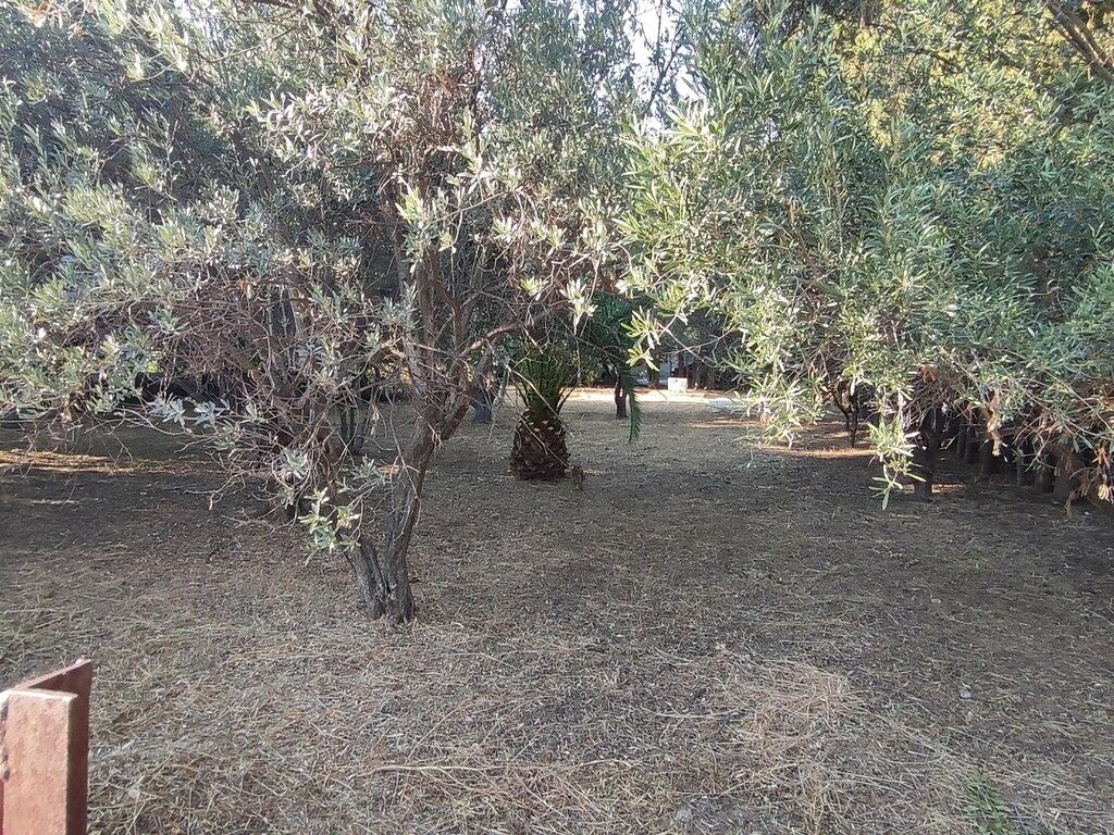 Terreno en Ática, Grecia, 965 m² - imagen 2