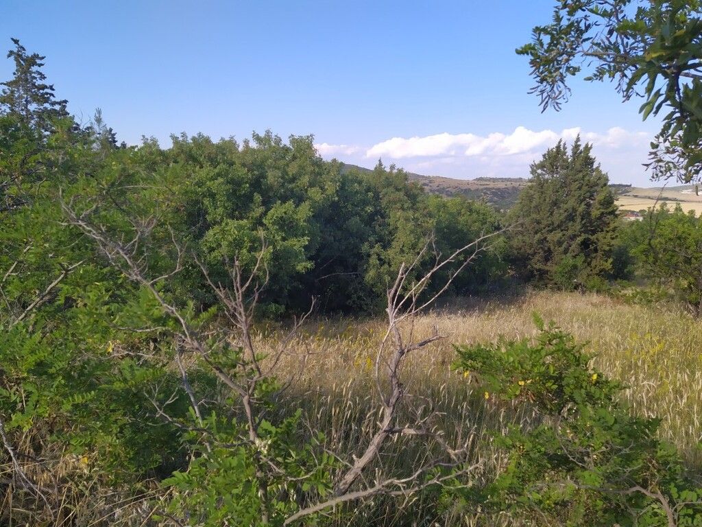 Grundstück in Thessaloniki, Griechenland, 12 000 m² - Foto 2