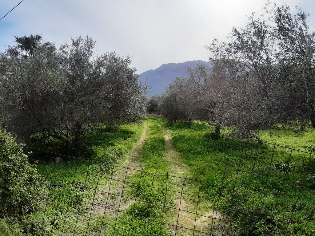 Terreno a Heraklion, Grecia, 19 280 m2 - foto 2