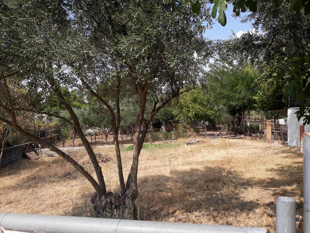 Grundstück in Athen, Griechenland, 374 m² - Foto 2