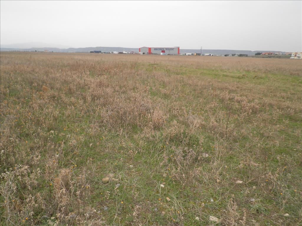 Terrain en Chalcidique, Grèce, 4 037 m² - image 2
