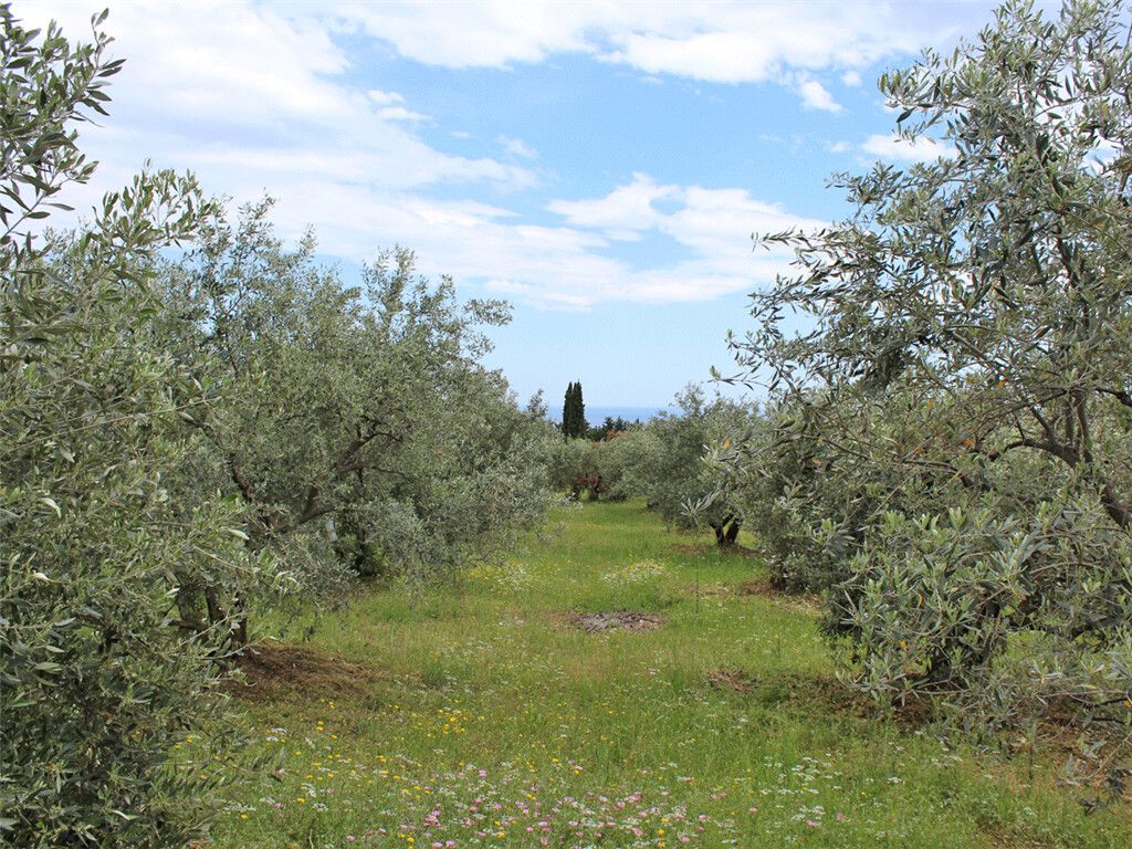 Terreno a Olympiaki Akti, Grecia, 6 599 m2 - foto 2