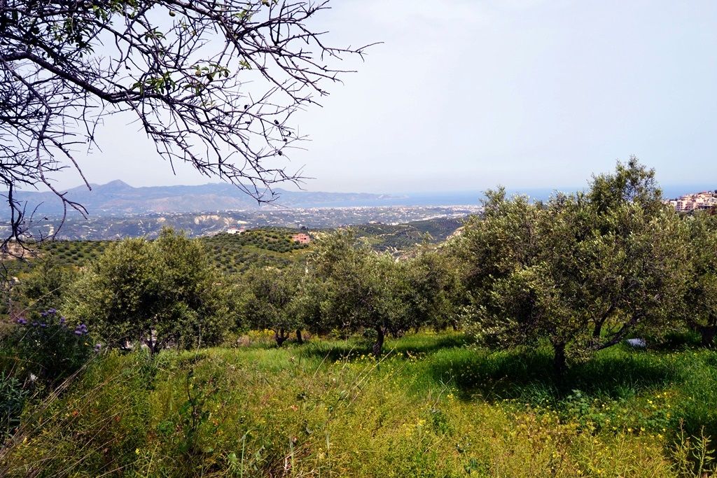 Terreno a Heraklion, Grecia, 2 900 m2 - foto 2