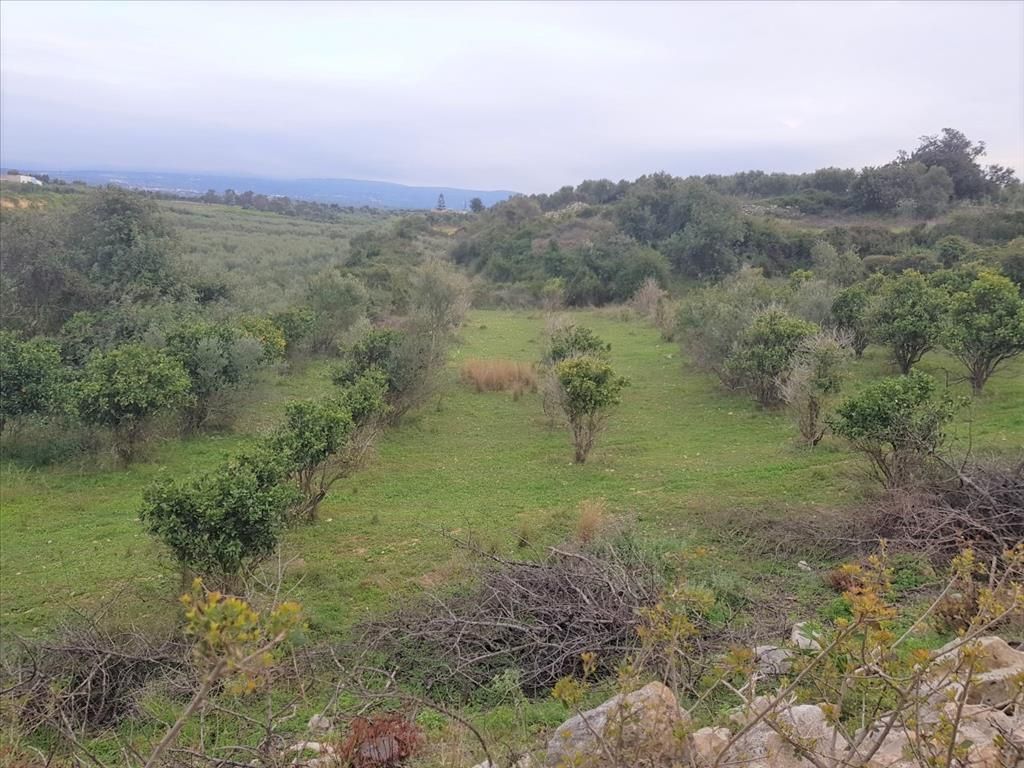 Land in Rethymno, Greece, 12 728 m² - picture 1