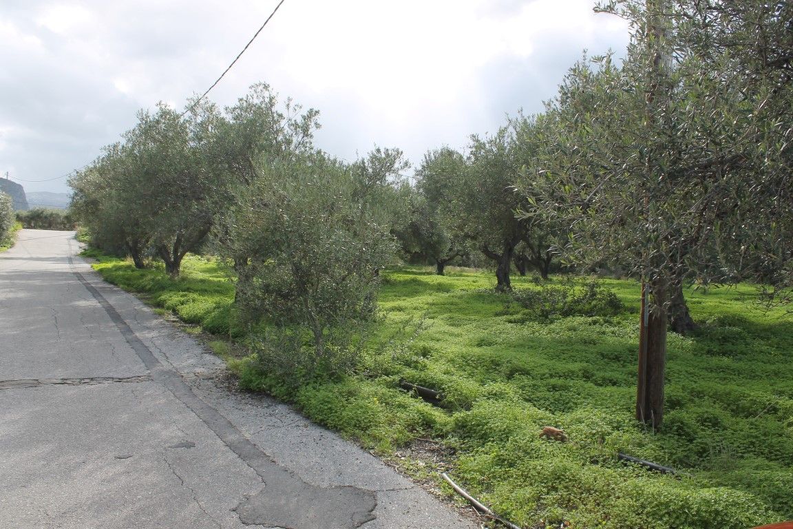 Terrain à Sissi, Grèce, 2 456 m² - image 1